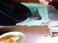 水浴びした1 水浴びした1