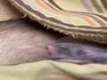 らゆなベビー20210411 らゆなベビー20210411